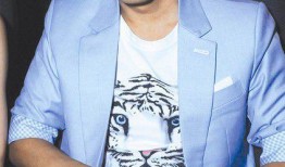 甄子丹爆料王宝强视频,背后真相令人震惊